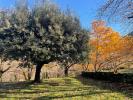 Acheter Maison Anduze Gard