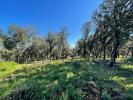For sale Land Thoronet  83340 2214 m2