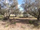 Annonce Vente Terrain Pezenas