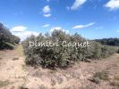 Acheter Terrain 5280 m2 Pezenas
