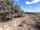 Acheter Terrain Pezenas Herault