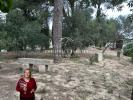 Land BOUZIGUES 