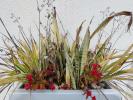House VINCA 