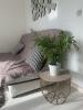 Louer Appartement 28 m2 Saint-laurent-du-var