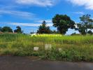 Annonce Vente Terrain Goyave