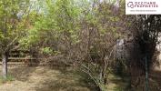 Acheter Terrain 614 m2 Isle-en-dodon