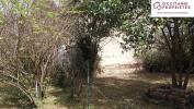 Acheter Terrain Isle-en-dodon 22500 euros