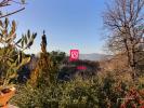 House SAINT-MAXIMIN-LA-SAINTE-BAUME 