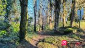 Acheter Terrain 1160 m2 Locronan