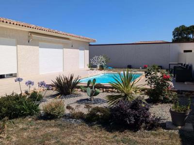 photo For sale House PRUNELLI-DI-FIUMORBO 20