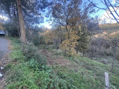 photo For sale Land VILLE-DI-PARASO 20