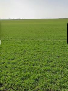 Vente Terrain ANDILLY 17230