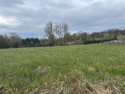 Vente Terrain MORTREE 61570