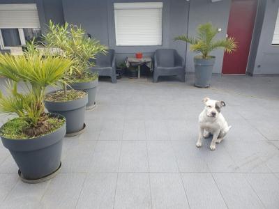 Location Appartement STAINS 93240