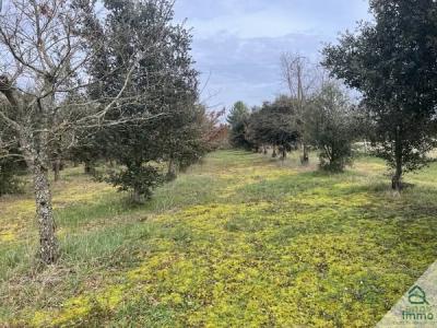Vente Terrain AUSSAC-VADALLE 16560