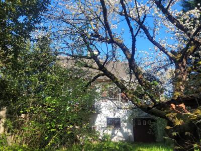 photo For sale House YERRES 91
