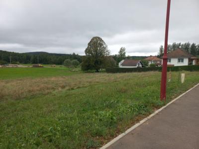 Vente Maison LUZE 