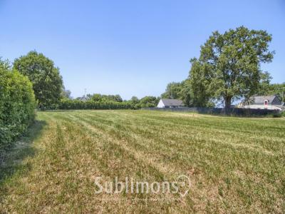 Vente Terrain SAINT-GILDAS-DES-BOIS 44530