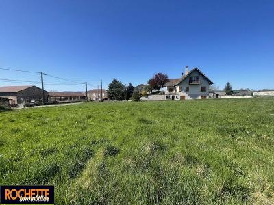 Vente Terrain SAINT-JODARD 42590