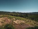 Annonce Vente Terrain