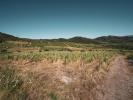 Acheter Terrain Aude