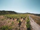 Acheter Terrain 149000 euros