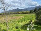 Acheter Maison Laroque-des-alberes 648000 euros