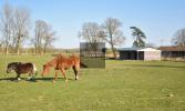 Annonce Vente Prestige Merlimont