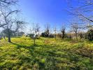 Annonce Vente Terrain Ingenheim