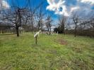 Acheter Terrain Ingenheim 96000 euros
