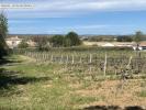 Annonce Vente Terrain Ginestas