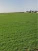 Annonce Vente Terrain Andilly