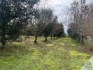 Acheter Terrain 9656 m2 Aussac-vadalle