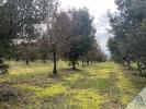 Acheter Terrain Aussac-vadalle Charente