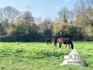 Annonce Vente 6 pices Maison Nonant-le-pin