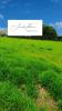 Annonce Vente Terrain Castelnau-d'estretefonds