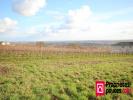 Acheter Terrain Langon Gironde