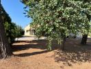 Acheter Maison 160 m2 Saint-andre-de-sangonis