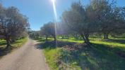 Acheter Prestige Trans-en-provence 1490000 euros