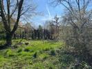 Annonce Vente Terrain Warluis