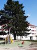For rent Apartment Hericourt 70400 76 m2 4 rooms
