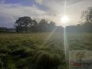 Annonce Vente Terrain Saint-pierre-de-plesguen