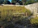 Annonce Vente Terrain Matoury