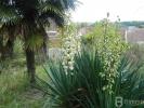 Acheter Immeuble 221 m2 Neuilly-saint-front