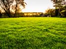 Land FREPILLON 