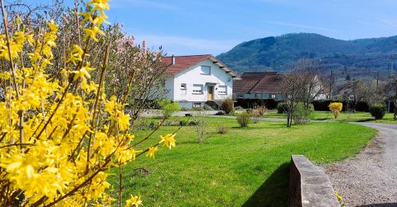 photo For sale House LUXEUIL-LES-BAINS 70