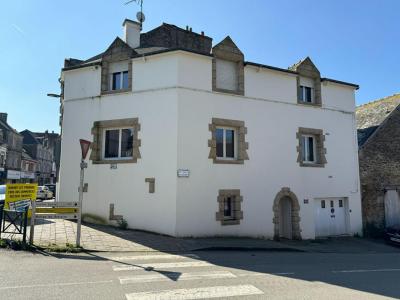 photo For sale House BAUD 56