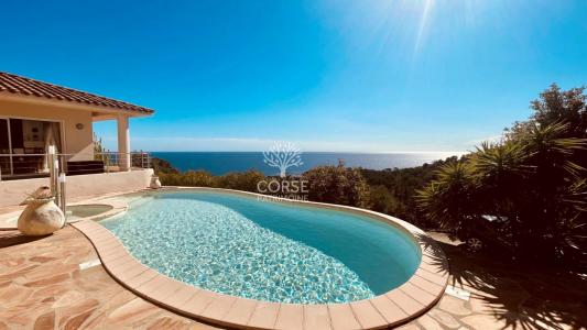 Vente Maison SARI-SOLENZARA 