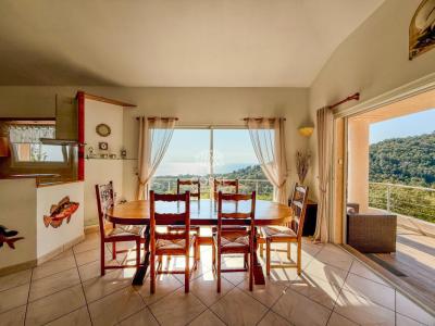 Vente Maison SARI-SOLENZARA 