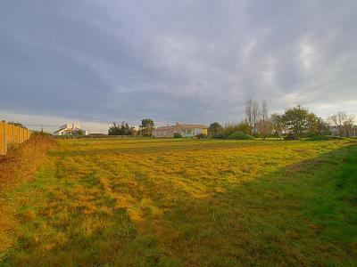 photo For sale Land ILE-D'OLONNE 85